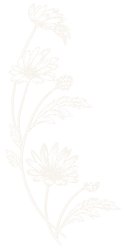 01_fleurs_gauche