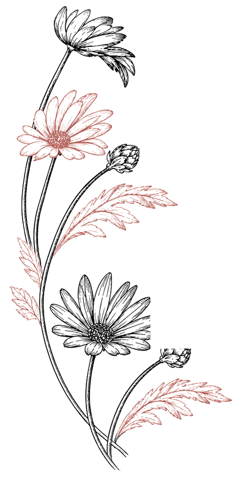 01_fleurs_gauche
